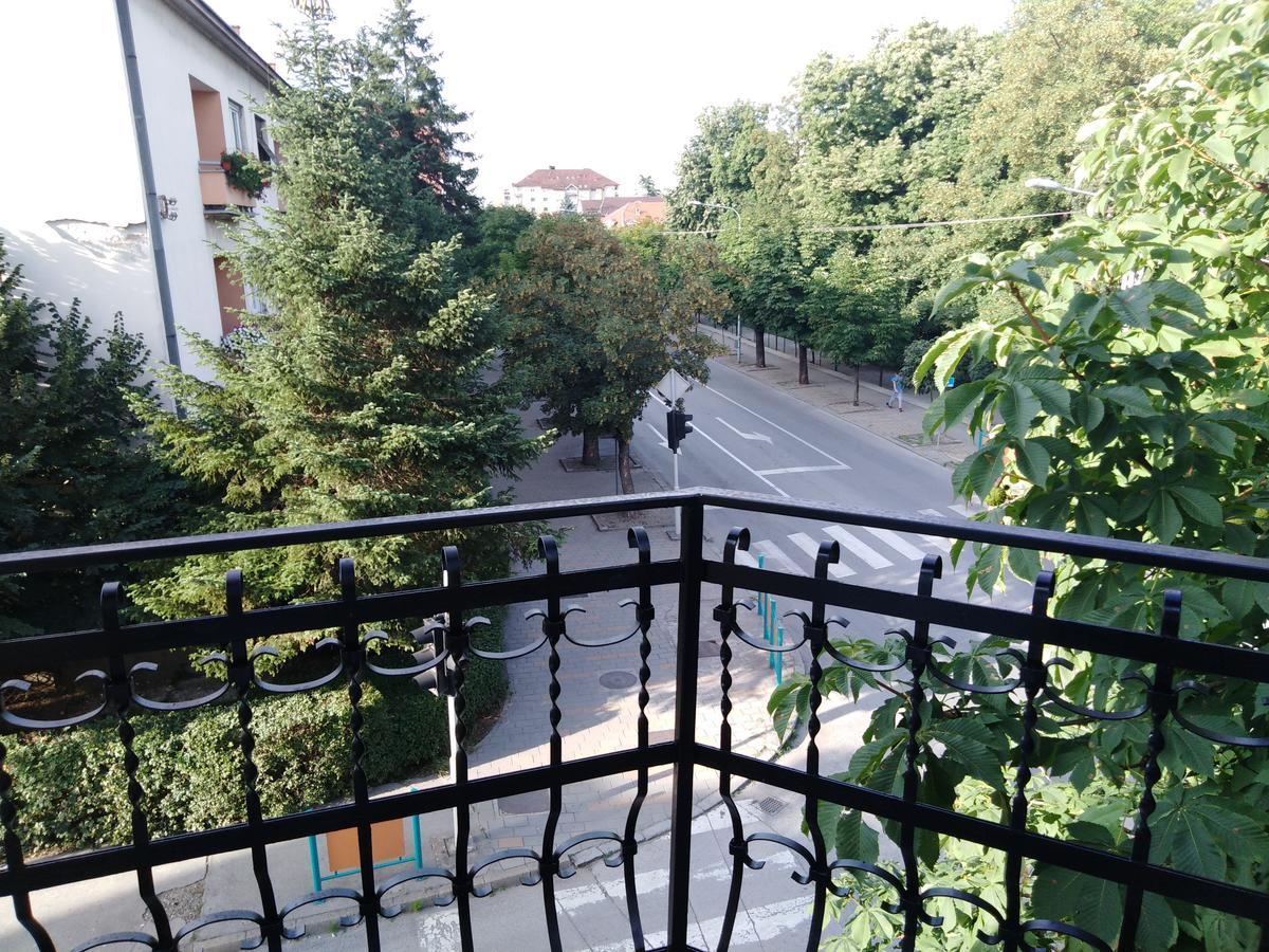 Willa Veliki Park Šabac Zewnętrze zdjęcie