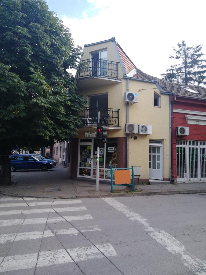 Willa Veliki Park Šabac Zewnętrze zdjęcie