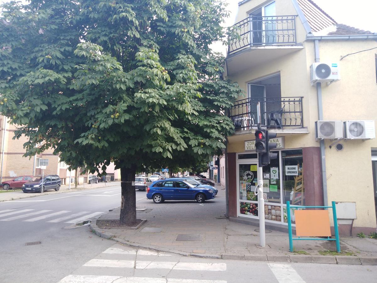 Willa Veliki Park Šabac Zewnętrze zdjęcie